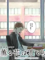 旷野四十八小时综艺真人秀在线观看